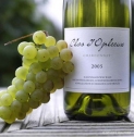 Clos d'Opleeuw Clos d'Opleeuw