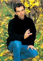 André Ostertag